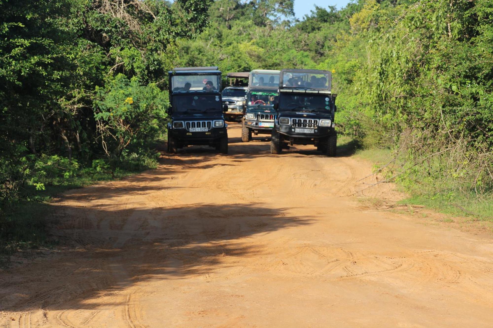 Udara Guest - Yala Safari Villa Exteriör bild