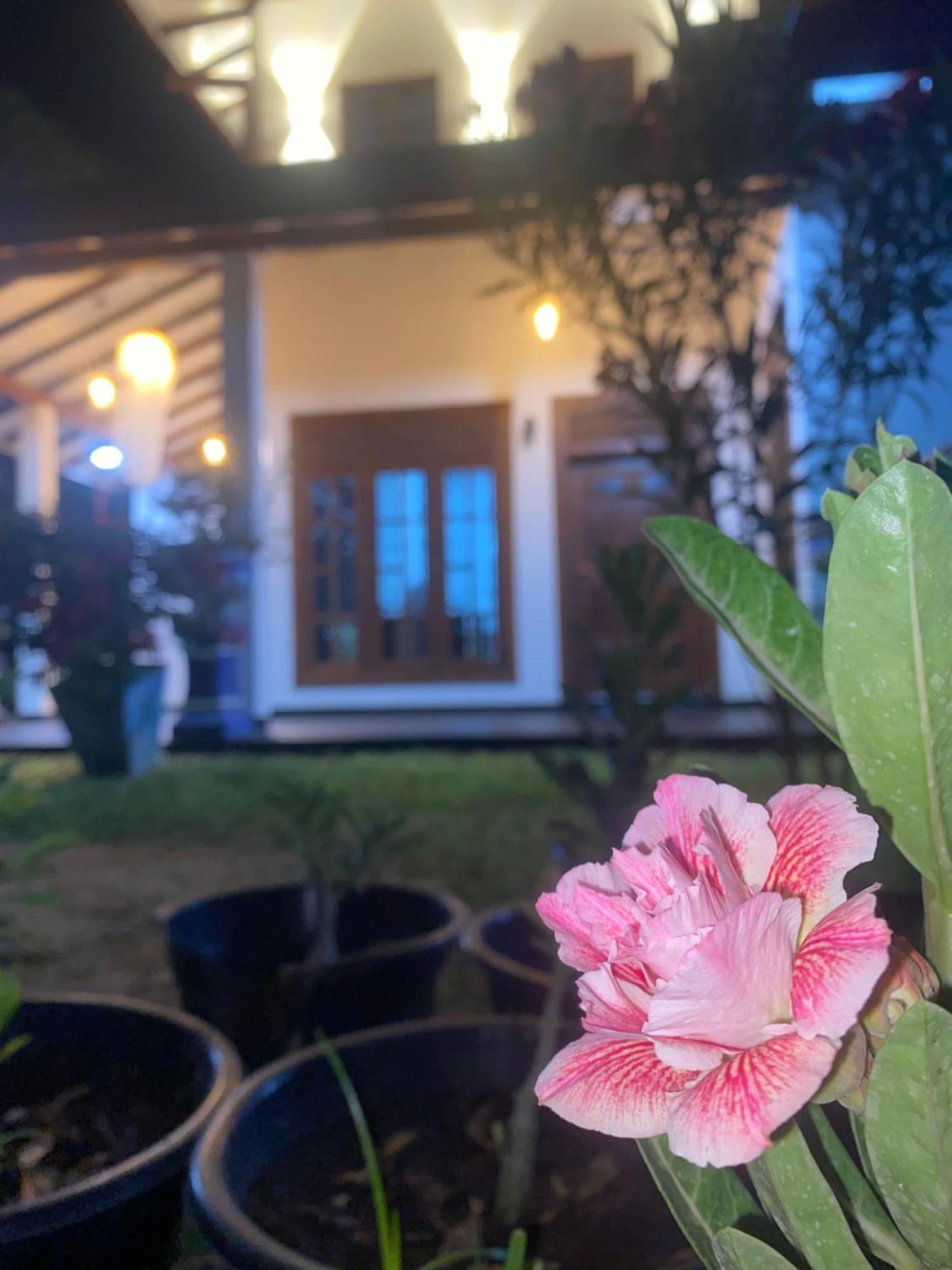 Udara Guest - Yala Safari Villa Exteriör bild